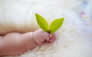���L���L������С�ĵ���ë������