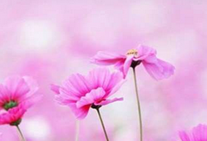 Ƥ�w�^������ʲô�������������